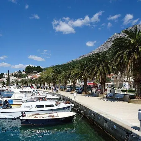 Tim * 巴什卡沃达